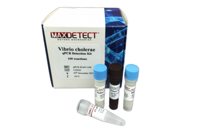 MaxDetect Vibrio Cholerae qPCR Detection Kit