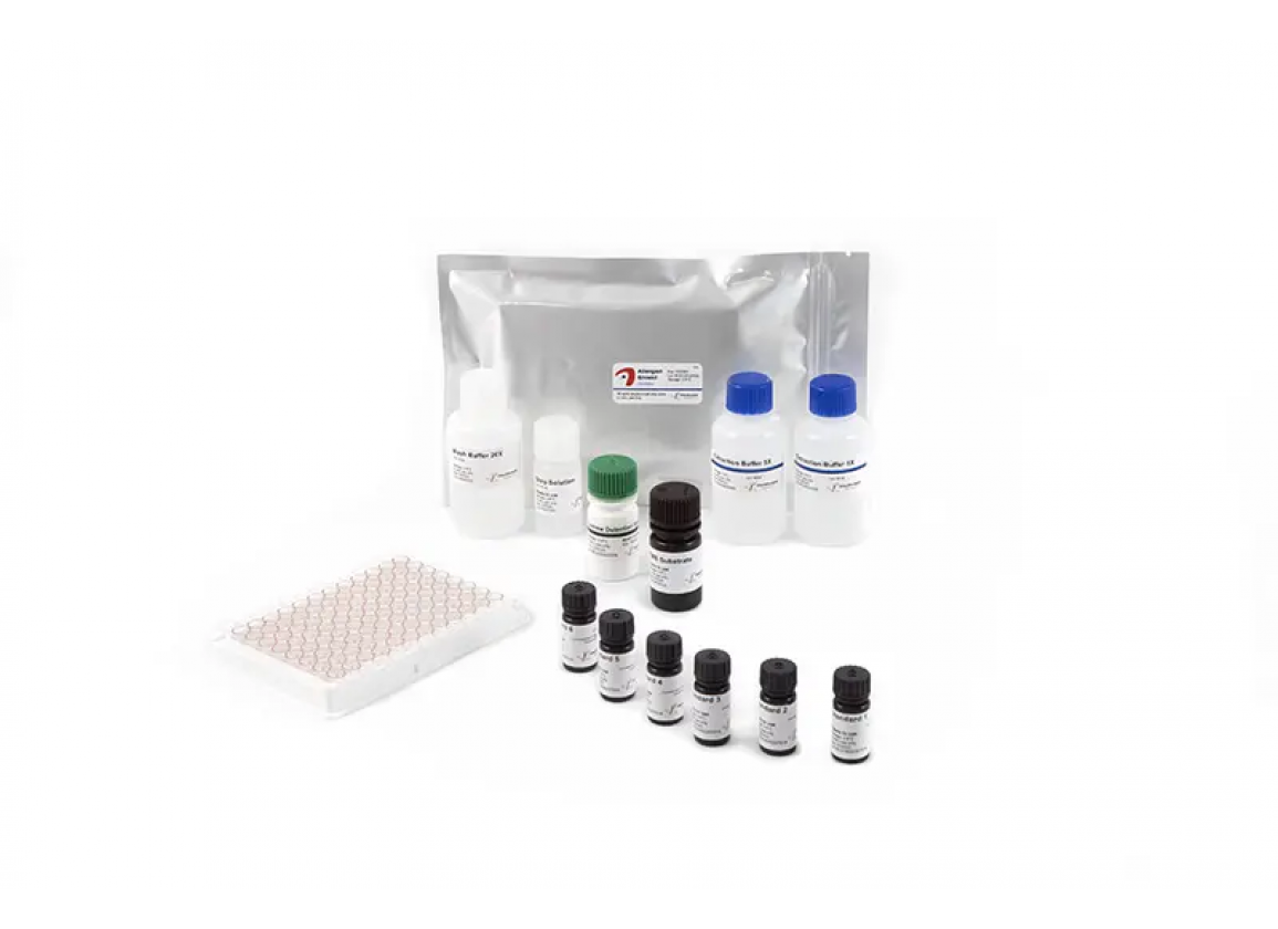 Allergen-Shield Cashew