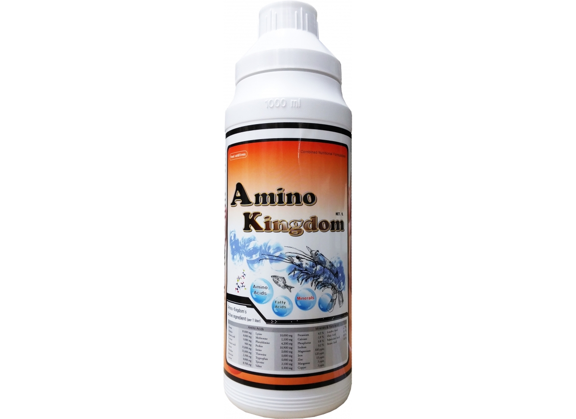 AMINO KINGDOM