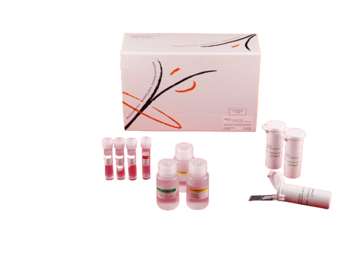 Symmetric Fumonisin Green