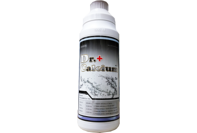 DR CALCIUM