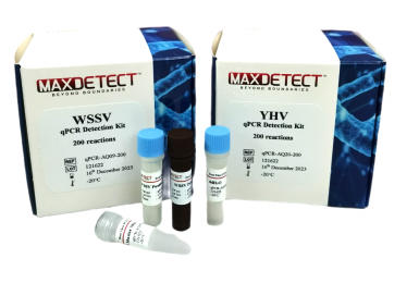 MaxDetect EHP qPCR Detection Kit