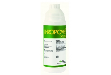 G.C. ENROPOWER SOLUTION