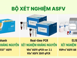 GIẢI PHÁP PHÒNG NGỪA VÀ KIỂM SOÁT HIỆU QUẢ DỊCH TẢ LỢN CHÂU PHI ASF TỪ SISTAR VIỆT NAM