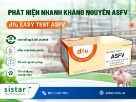 dfu EASY TEST ASFV – Phát hiện nhanh kháng nguyên dịch tả heo châu Phi