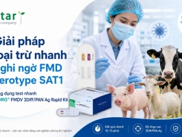 Giải pháp loại trừ nhanh nghi ngờ FMDV SAT1 bằng test nhanh VDRG® FMDV 3Diff/PAN Ag Rapid Kit