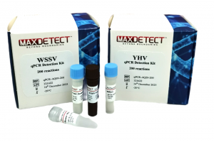 Kit Real - time PCR phát hiện DNA vi bào tử trùng ký sinh ở gan tụy - Enterocytozoon hepatopenaei (EHP)