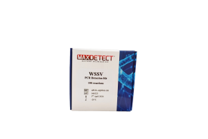 Kit PCR phát hiện DNA Virus gây bệnh đốm trắng - White spot disease syndrome virus (WSSV)