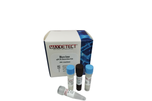 Kit real-time PCR phát hiện DNA Bò