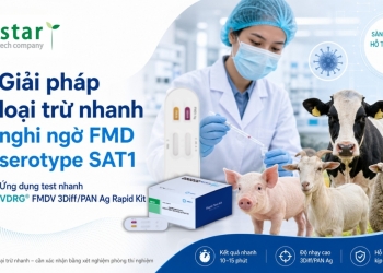 Giải pháp loại trừ nhanh nghi ngờ FMDV SAT1 bằng test nhanh VDRG® FMDV 3Diff/PAN Ag Rapid Kit