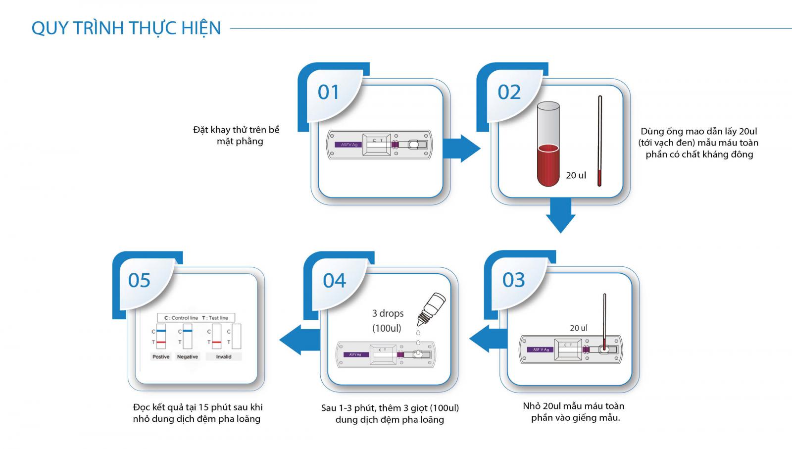 Hình 3: Quy trình thực hiện test nhanh dfu Easy Test ASFV