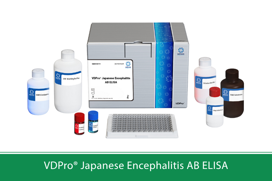 ELISA - Phát hiện kháng thể JEV trong huyết thanh heo
