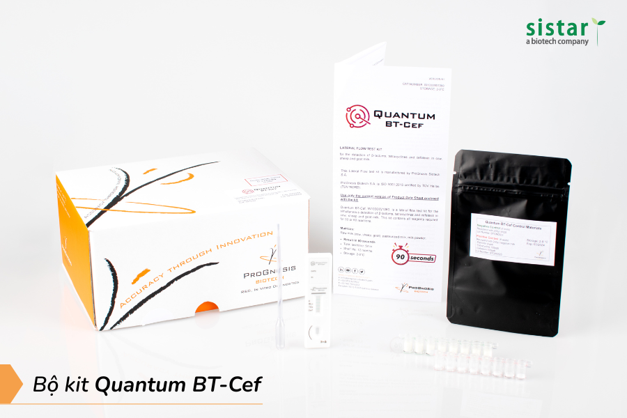Bộ kit test nhanh tồn dư kháng sinh trong sữa - Quantum BT-Cef