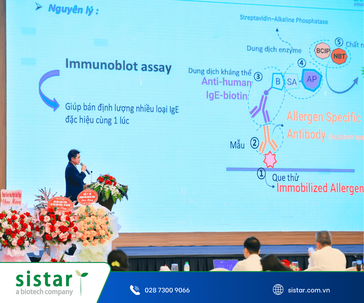Ứng dụng xét nghiệm dị ứng đa dị nguyên trong định hướng chẩn đoán và quản lý bệnh dị ứng tại Việt Nam