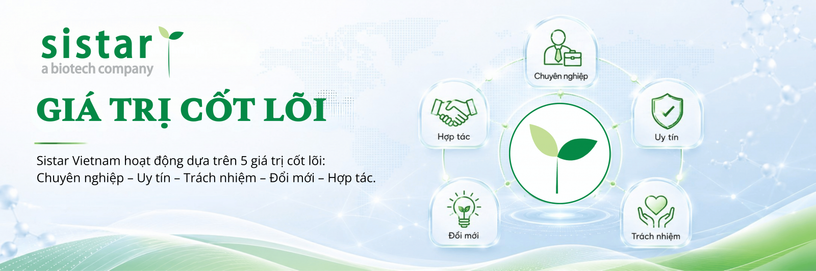 Giá Trị Cốt Lõi