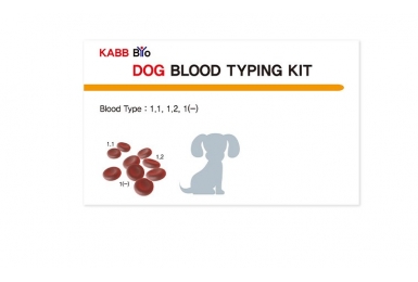 Canine Blood Typing Kit